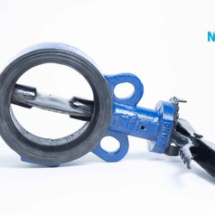 Butterfly Valve