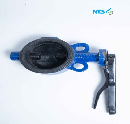 butterfly valve