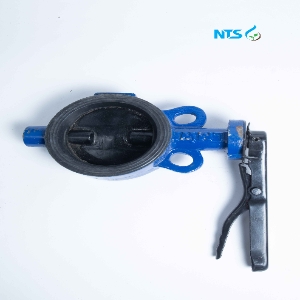 butterfly valve