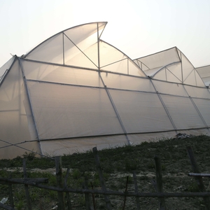 top ventilated green house