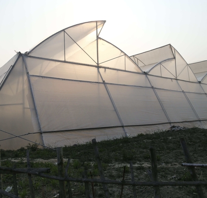 top ventilated green house