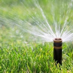 Popup Sprinklers