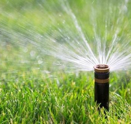 Popup Sprinklers